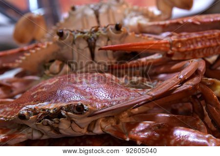 Boiled Crabs, Ready to cook for Thai Crab Curry