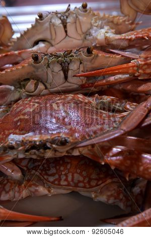 Boiled Crabs, Ready to cook for Thai Crab Curry