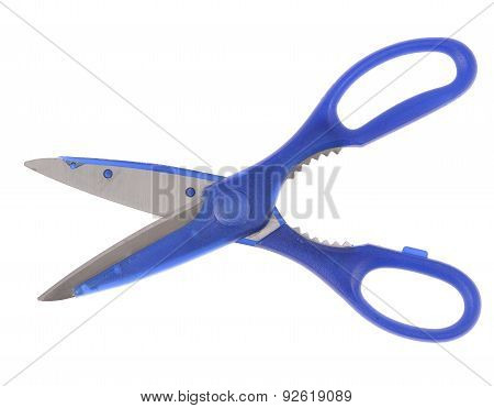 Blue Itchen Scissors