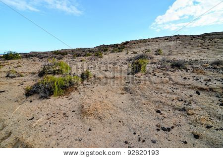 Volcanic Rock Basaltic Formation in Gran Canaria