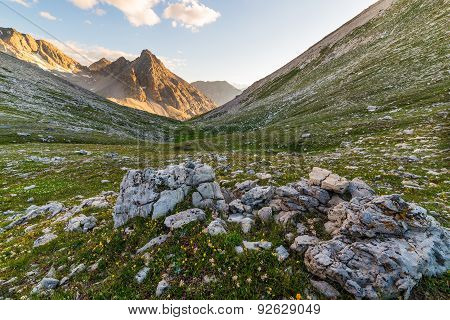 Glowing Mountain Peaks And Flowering Meadow