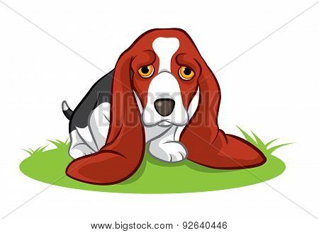 Big ears puppy