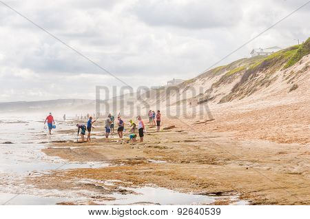 Hazy Day At The Beach In Reebok