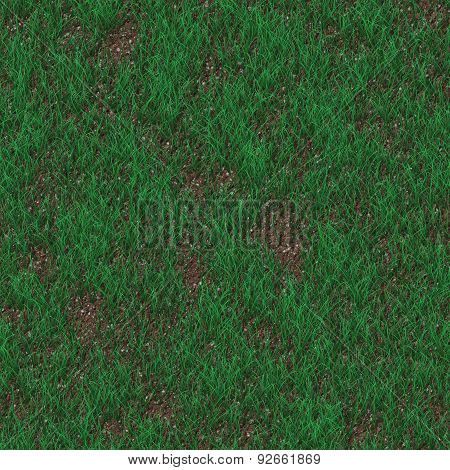 Grass Generated Seamless Texture