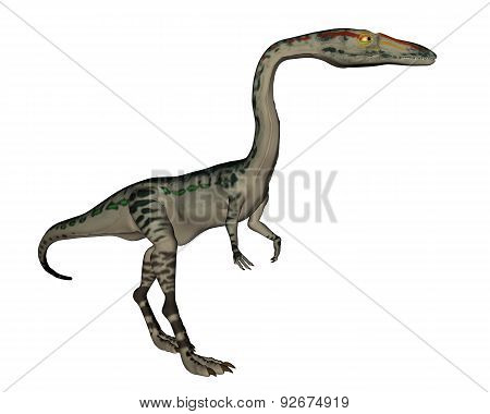 Coelophysis dinosaur - 3D render