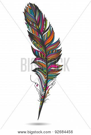 Multicolor feather, isolate. With white background. Vector