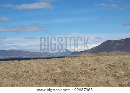 Videy (Viðey) Island