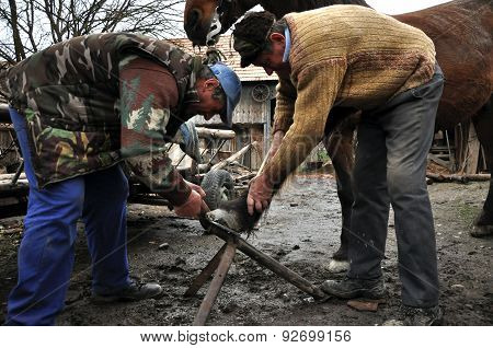 Blacksmith Shoeing A Horse