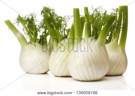 Fresh fennel bulb isolated on white background close up