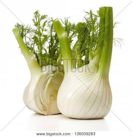 Fresh fennel bulb isolated on white background close up
