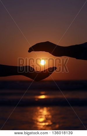 palm at sunset on the sea the hands of men and women the family the silhouettes of hands husband and wife the sun unity.