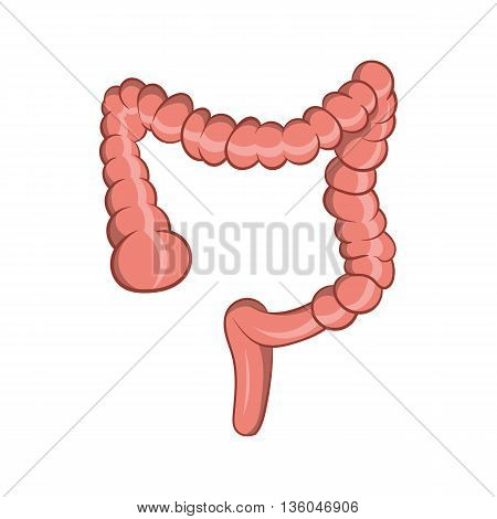 Intestine icon in cartoon style isolated on white background. Human organs symbol