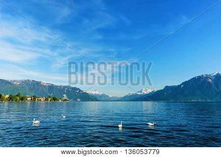 Scenic and landscape of lake Vevey at Geneva Switzerland Beautiful Geneva lake at Vevey in summer