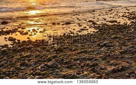 Gravel beach aglow with the setting sun. Horizontal.