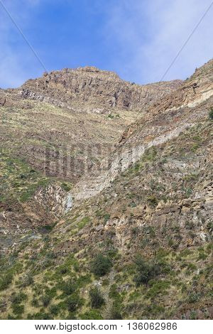 San Alfonso Valley, Trail In The  Mountain