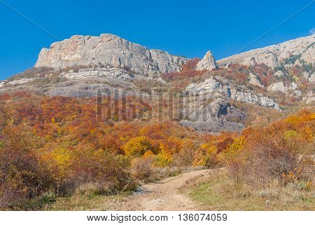Earth road in autumnal forest on mountain pasture Demerdzhi Crimean peninsula