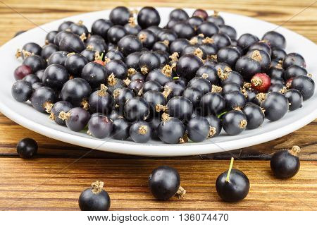 Black ripe currant in white plate on wooden background