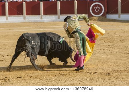 Ubeda Spain - October 1 2011: The Spanish Bullfighter Curro Diaz bullfighting with the crutch in the Bullring of Ubeda Spain