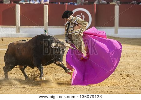 Ubeda Spain - October 1 2011: The Spanish Bullfighter El Cid bullfighting with the crutch in the Bullring of Ubeda Spain