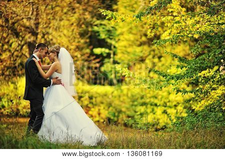 Young And Gorgeus Wedding Couple On Autumn Forest