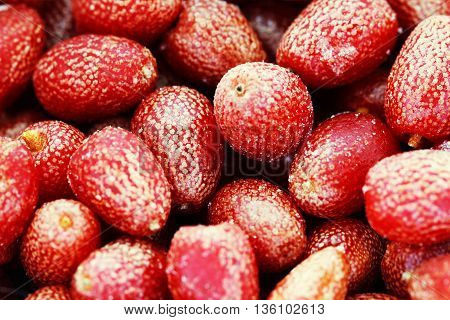 Goji berries frozen background close up macro phoro