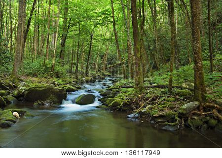 Little Pigeon River.Water cascades over boulders covered in green moss. Smoky Mountains National Park.