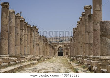 Columns in Colonnaded Street and North Gate at background Ancient Roman city of Gerasa of Antiquity modern Jerash Jordan
