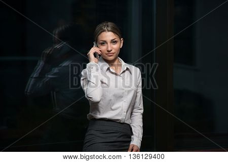 Young Businesswoman Talking On The Mobile Phone