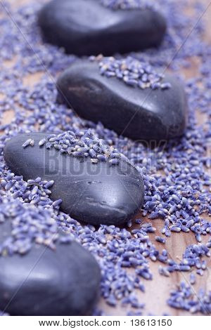 Luxury With Lavender