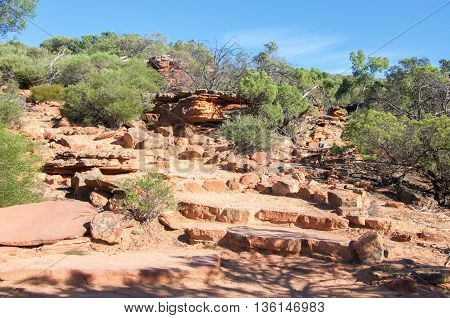 Layers of sandstone rock and native flora line a path through the Z-bend bushland under a clear blue sky in Kalbarri National Park in Western Australia.