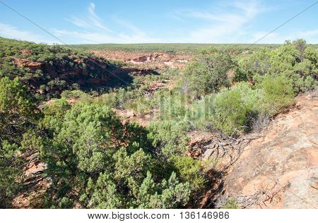 Rugged vegetated landscape with red sandstone and native plants in the scenic Z-bend landscape under a clear blue sky in Kalbarri National Park in Western Australia.