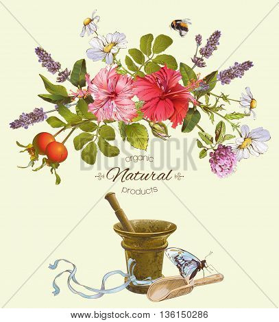 Vector natural products banner with hibiscus flowers, wild herbs and mortar. Design for cosmetics, herbal tea, perfume, store, beauty salon, natural and organic health care products.