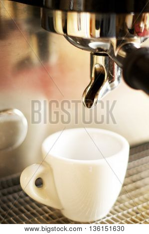 Close-up of espresso from coffee machine. Professional coffee brewing. Barista