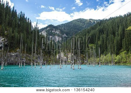 Kaindy Lake in Tien Shan mountain system, Kazakhstan