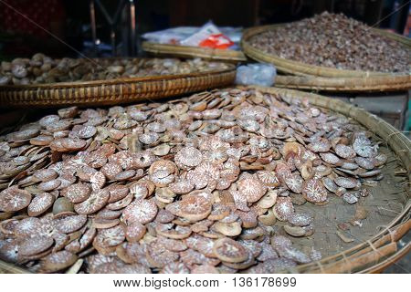 Betel Nuts in Baskets at a market in Myanmar