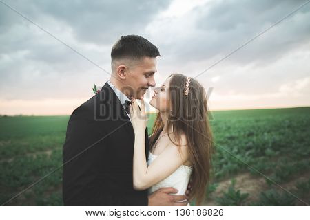 Beautiful wedding couple, love on the sunset. Fielf with flowers.