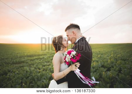 Beautiful wedding couple, love on the sunset. Fielf with flowers.