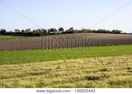 QUARTU: overview of the Campaign on Lake Simbirizzi - Sardinia