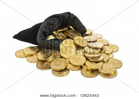 Money Coins In Bag Isolated On White