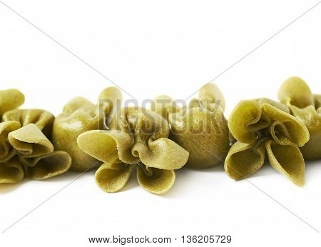 Line of sacchettoni stuffed sacchetti pasta isolated over the white background