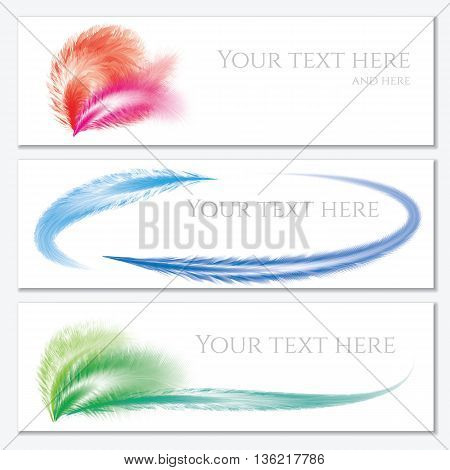 Set of banners with feathers. Banner with your text here. Vector illustration