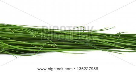 Close-up fragment crop of the green onion scallions, composition isolated over the white background