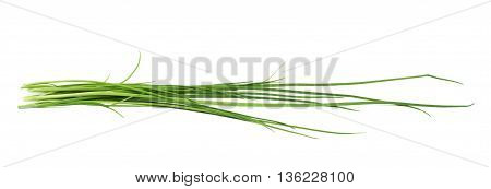 Green onion scallions isolated over the white background