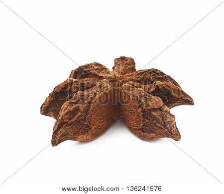 Single Chinese star anise seed isolated over the white background