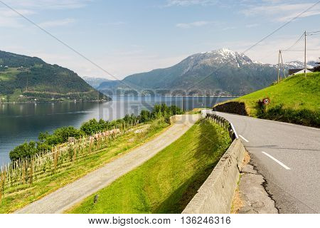 Landscape Near Hardangerfjord In Norway