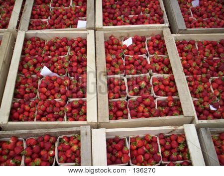 Wohnungen von Erdbeeren