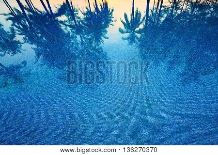 Reflection of coconut trees and sugar plam tree in deep blue color swimming pool
