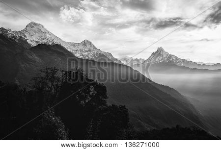 View of the himalayan peak the 6993 ms. mount Machhapuchhare-Fish Tail and Annapurna South Nepal. Black and White.
