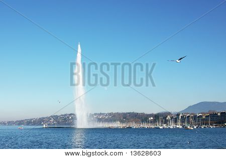 Geneva Jet'eau Fountain View