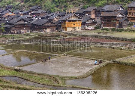 Zhaoxing Dong Village Guizhou Province China - April 8 2010: Spring field work of Chinese farmers from the mountain village.